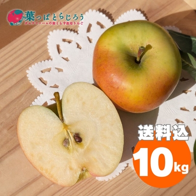 新作 楽天市場】ぐんま名月 10kgの通販 その他 - その他